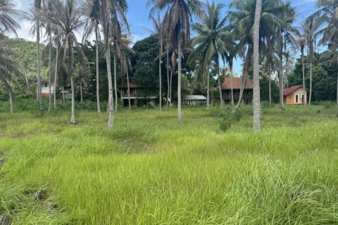 Land in Surat Thani, Thailand № 116178 - photo 4