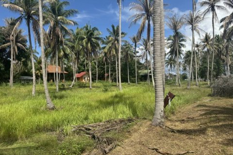 Land in Surat Thani, Thailand № 116178 - photo 6
