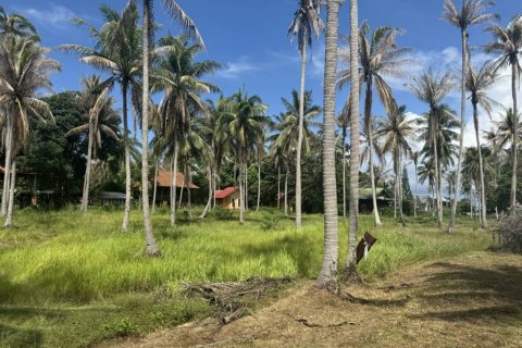 Land in Surat Thani, Thailand № 116178 - photo 9