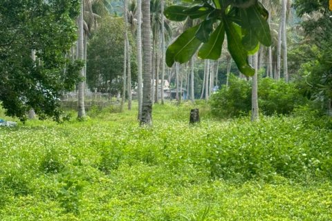 Land in Surat Thani, Thailand № 116178 - photo 5
