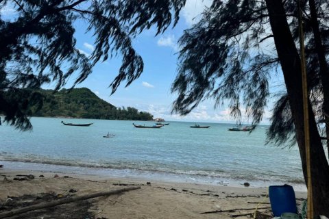 Land in Surat Thani, Thailand № 116178 - photo 1