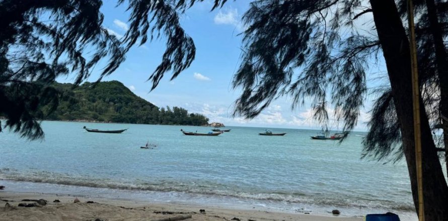 Land in Surat Thani, Thailand № 116178