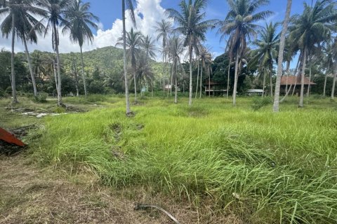 Land in Surat Thani, Thailand № 116178 - photo 8