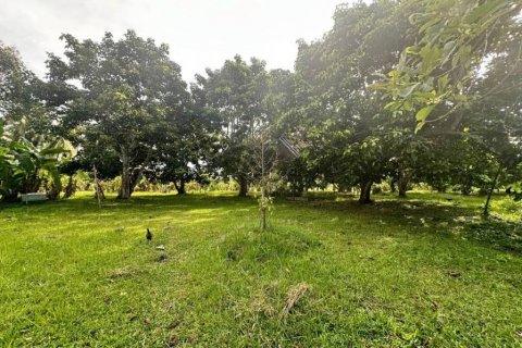 Земельный участок в Сураттхани, Таиланд  № 115824 - фото 1