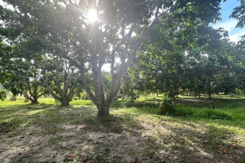 Земельный участок в Сураттхани, Таиланд  № 115824 - фото 2