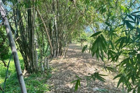 Земельный участок в Сураттхани, Таиланд  № 115824 - фото 5