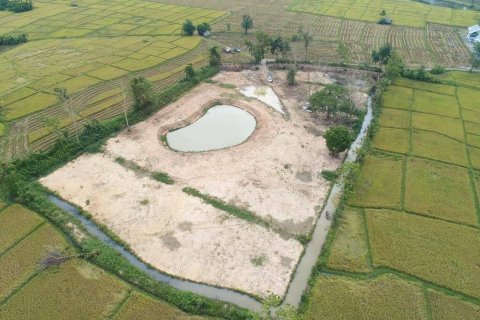 Terrain à Chiang Mai, Thaïlande № 86946 - photo 6