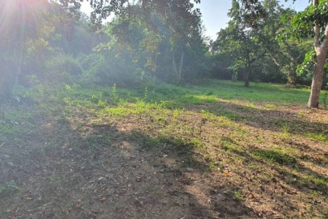 Land in Chiang Rai, Thailand № 86948 - photo 4