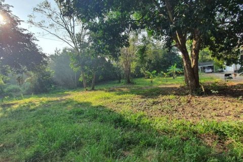 Land in Chiang Rai, Thailand № 86948 - photo 5