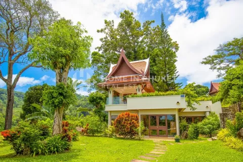 Maison à Kamala, Thaïlande 7 chambres № 130900 - photo 3