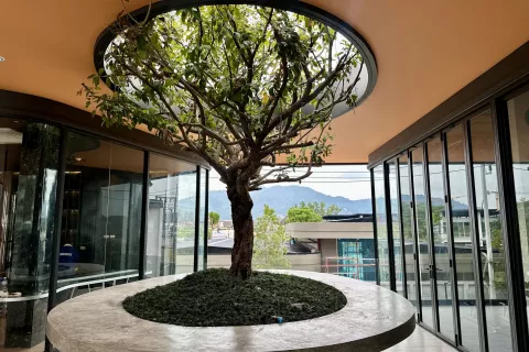 Квартира в Пхукете, Таиланд с 2 спальнями  № 107407 - фото 22