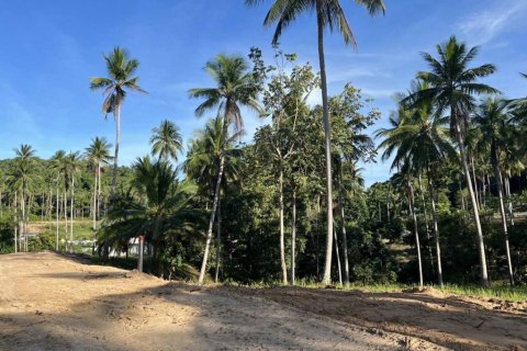 Land in Surat Thani, Thailand № 125791 - photo 2