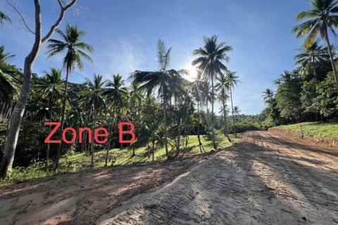 Land in Surat Thani, Thailand № 125791 - photo 5