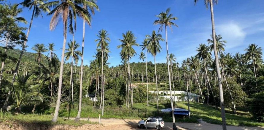 Land in Surat Thani, Thailand № 125791