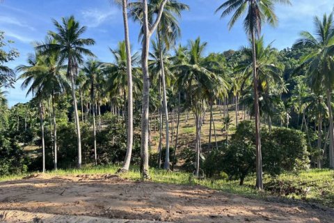 Land in Surat Thani, Thailand № 125791 - photo 4