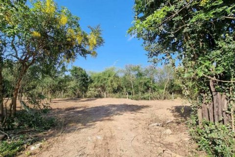 Terrain à Pran Buri, Thaïlande № 101899 - photo 2