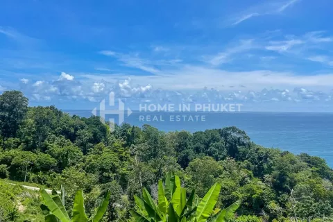 Земельный участок в Камале, Таиланд  № 131654 - фото 4