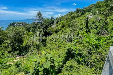 Земельный участок в Камале, Таиланд  № 131654 - фото 3