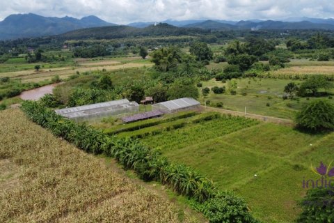 House in Chiang Mai, Thailand 4 bedrooms № 119908 - photo 18