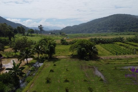 House in Chiang Mai, Thailand 4 bedrooms № 119908 - photo 22