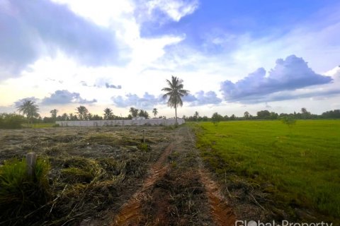 Земельный участок в Паттайе, Таиланд  № 132347 - фото 6