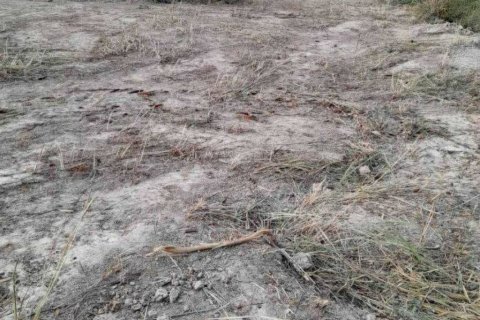 Terrain à Hua Hin, Thaïlande № 124614 - photo 6