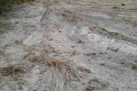 Terrain à Hua Hin, Thaïlande № 124614 - photo 5