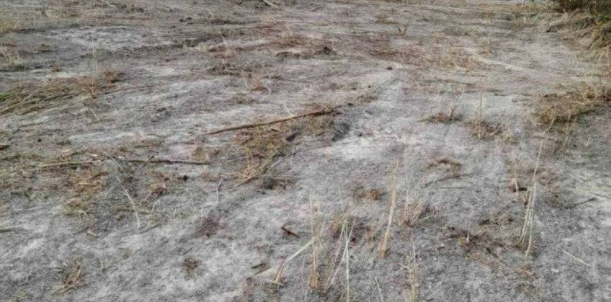 Terrain à Hua Hin, Thaïlande № 124614