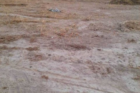 Terrain à Hua Hin, Thaïlande № 124614 - photo 3