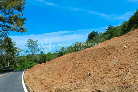 Земельный участок в Май Кхао, Таиланд  № 131134 - фото 6