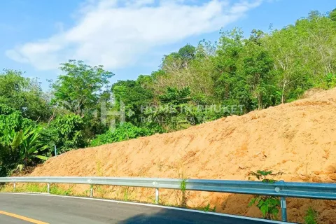 Земельный участок в Май Кхао, Таиланд  № 131134 - фото 8