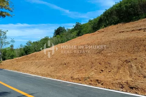 Земельный участок в Май Кхао, Таиланд  № 131134 - фото 5