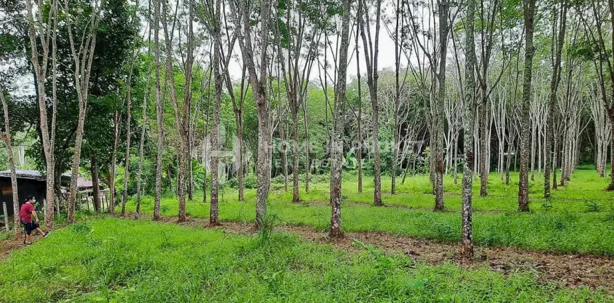 Земельный участок в Пхукете, Таиланд  № 131132