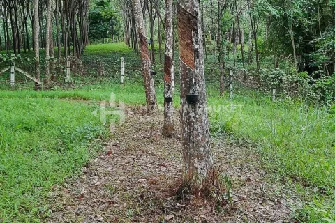 Земельный участок в Пхукете, Таиланд  № 131132 - фото 4