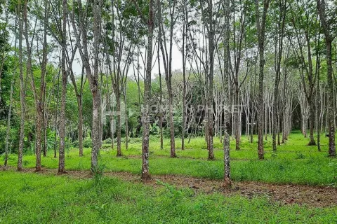 Земельный участок в Пхукете, Таиланд  № 131132 - фото 2