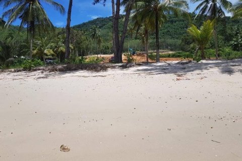 Land in Phang Nga, Thailand № 100533 - photo 1