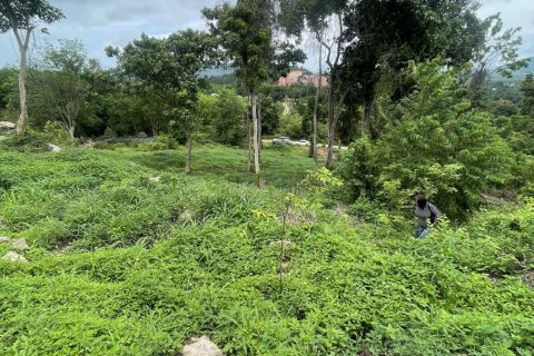 Земельный участок в Самуи, Таиланд 3200м2  № 142419 - фото 4