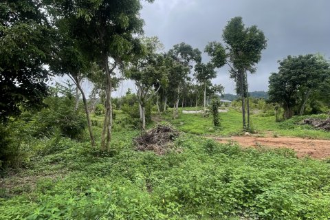 Земельный участок в Самуи, Таиланд 3200м2  № 142419 - фото 8