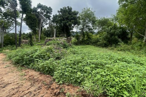 Земельный участок в Самуи, Таиланд 3200м2  № 142419 - фото 7