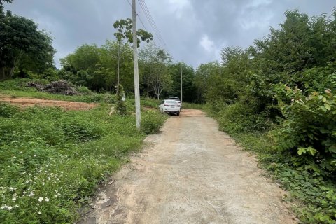 Земельный участок в Самуи, Таиланд 3200м2  № 142419 - фото 2