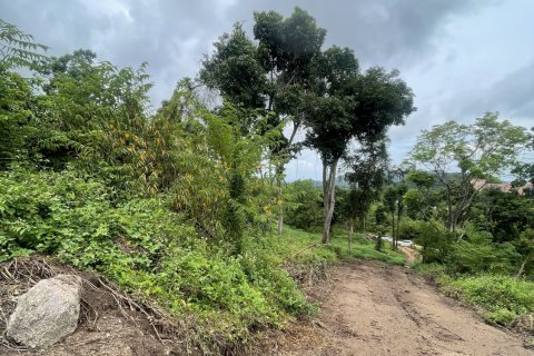 Земельный участок в Самуи, Таиланд 3200м2  № 142419 - фото 3