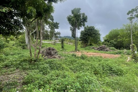 Земельный участок в Самуи, Таиланд 3200м2  № 142419 - фото 5