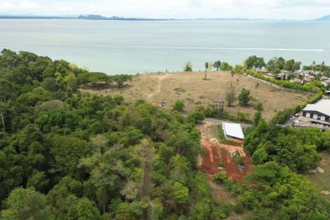 Земельный участок в Краби, Таиланд 20800м2 № 142486 - фото 4