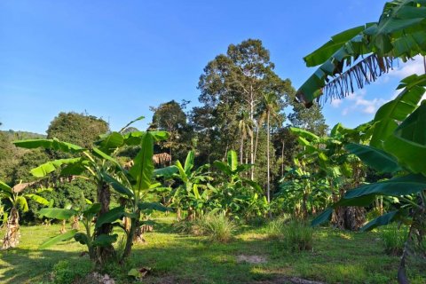 Земельный участок в Самуи, Таиланд  № 124567 - фото 2
