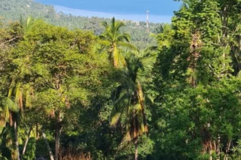 Земельный участок в Вианг Са, Таиланд  № 124391 - фото 3