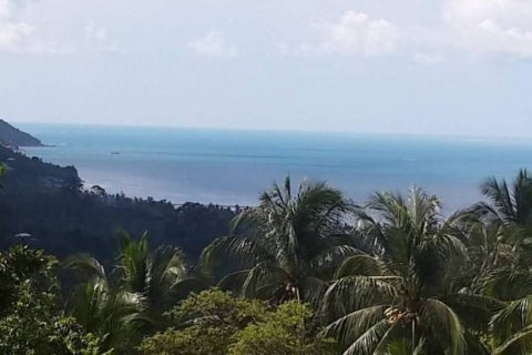 Земельный участок в Вианг Са, Таиланд  № 124391 - фото 2