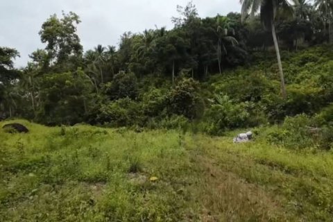 Земельный участок в Вианг Са, Таиланд  № 124391 - фото 9