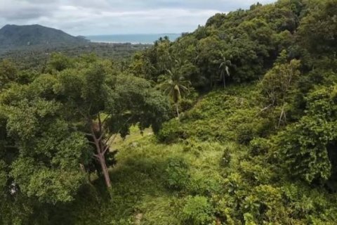 Земельный участок в Вианг Са, Таиланд  № 124391 - фото 7