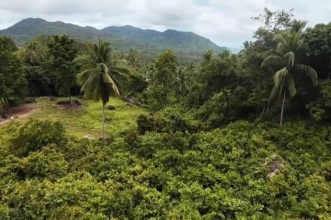 Земельный участок в Вианг Са, Таиланд  № 124391 - фото 5