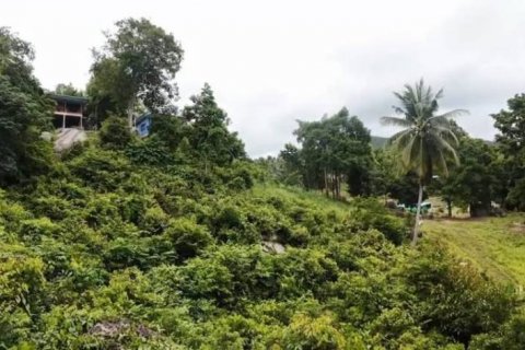 Земельный участок в Вианг Са, Таиланд  № 124391 - фото 8